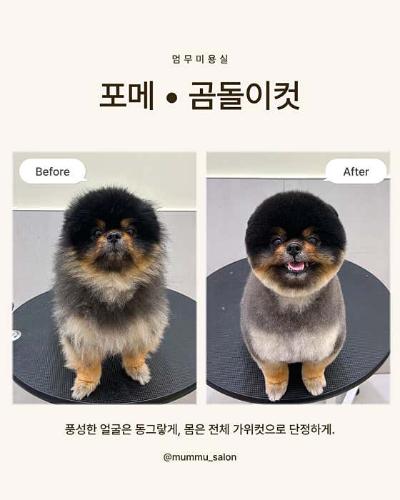 멈무미용실