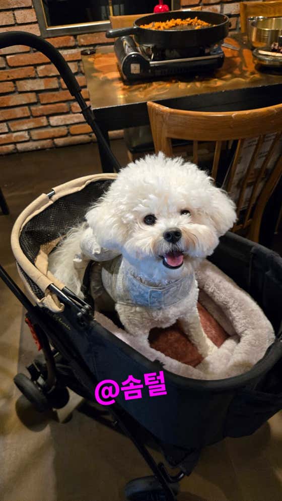 솔탄갈비 · 네이버 지도·플레이스 6