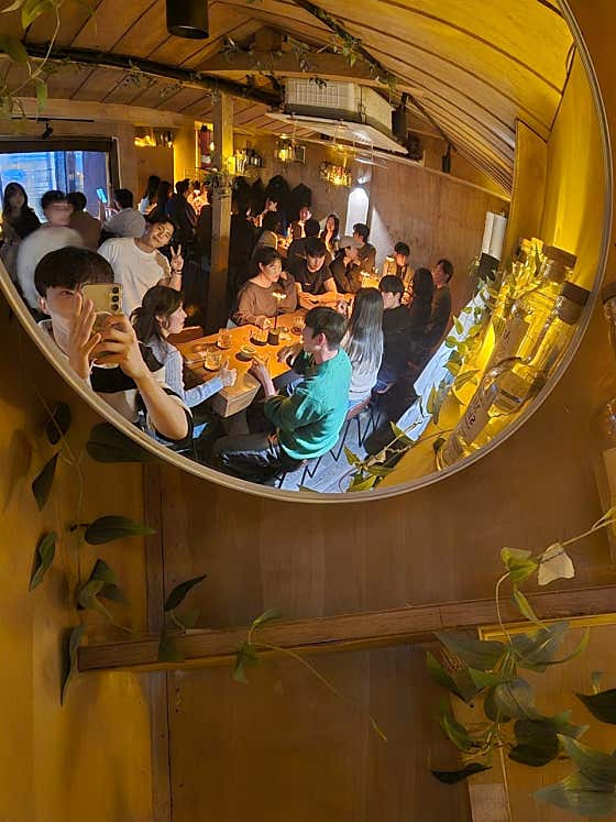 혼술바어쩌다잔잔