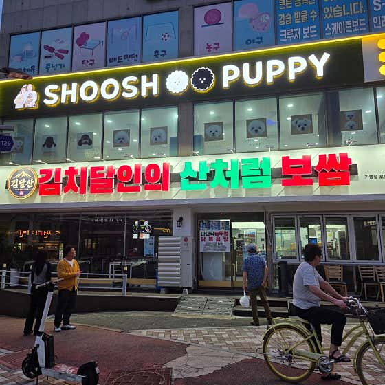 김치달인의 산처럼 보쌈