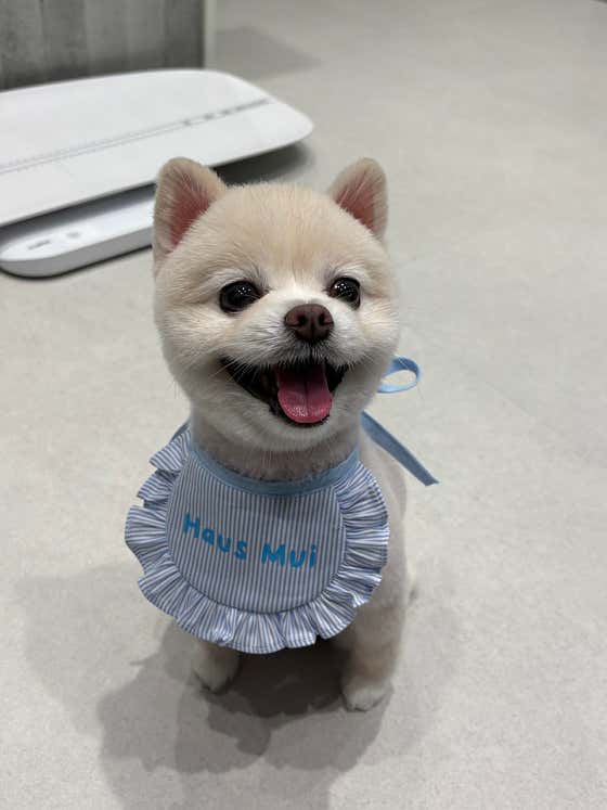하우스무이 · 네이버 지도·플레이스 4