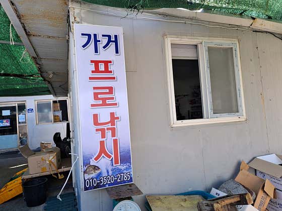 가거프로낚시