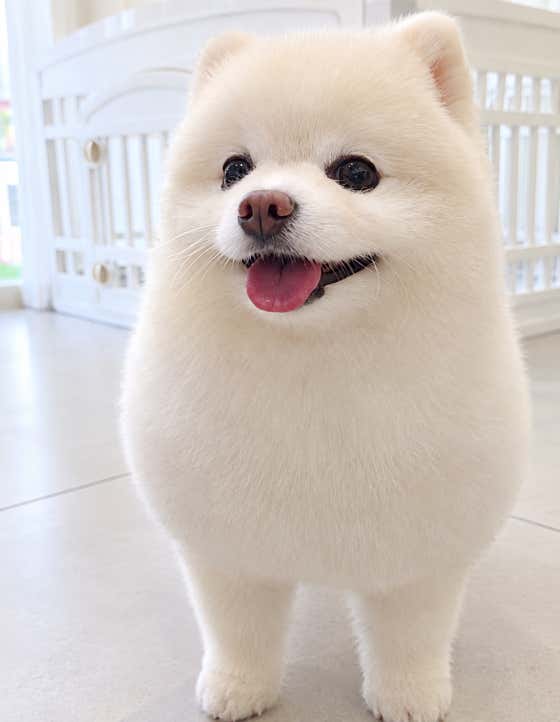 몽글몽글 · 네이버 지도·플레이스 4