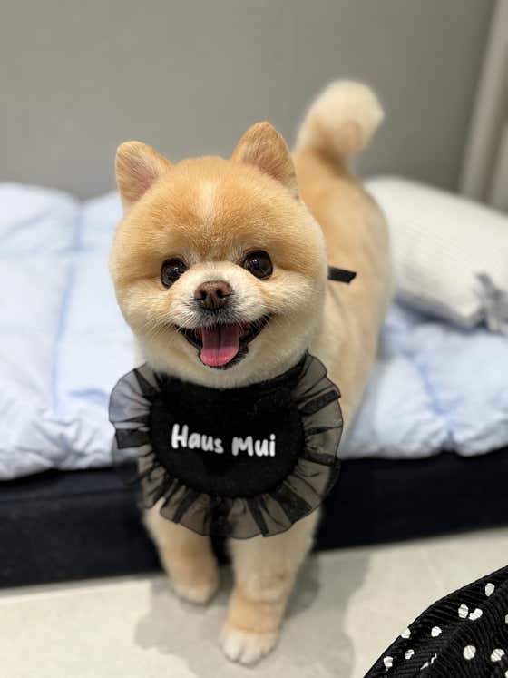 하우스무이 · 네이버 지도·플레이스 3