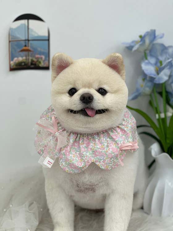 몽개구름