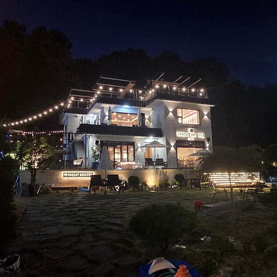 포레스트쉘터 · 네이버 지도·플레이스 1