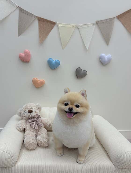 디어몽 · 네이버 지도·플레이스 2