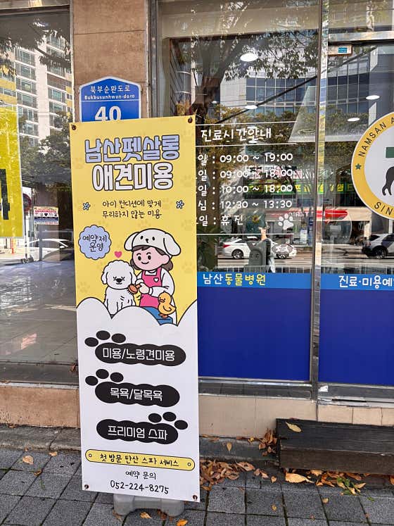 남산펫살롱 · 네이버 지도·플레이스 2