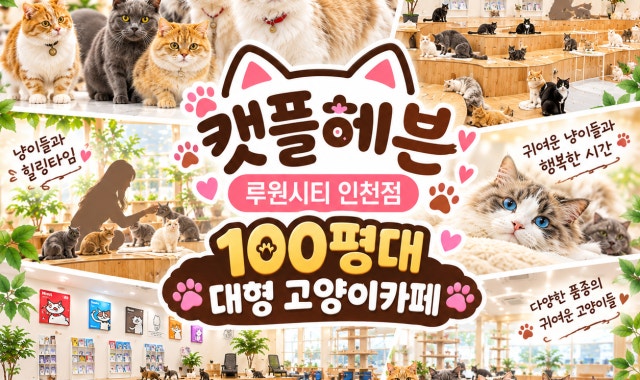 캣플헤븐 루원시티인천점 대표 사진