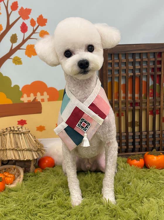 라이크잇 · 네이버 지도·플레이스 8
