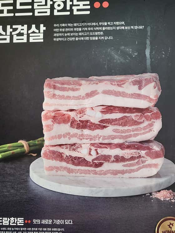 고려정