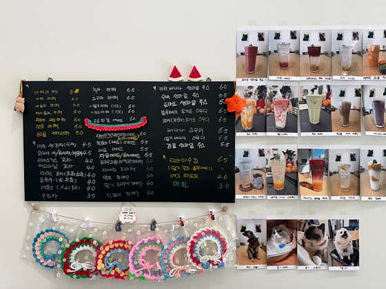 미야오카페 · 네이버 지도·플레이스 9