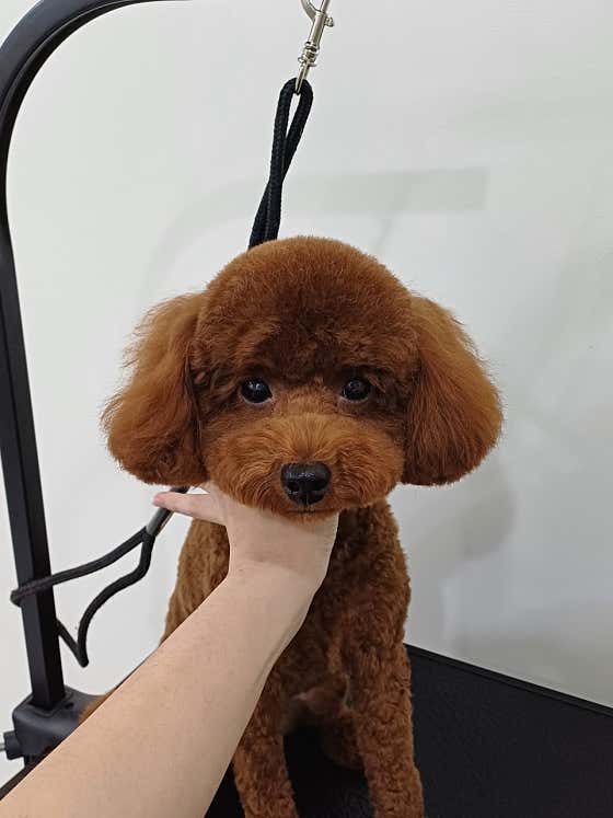 묭묭 · 네이버 지도·플레이스 9