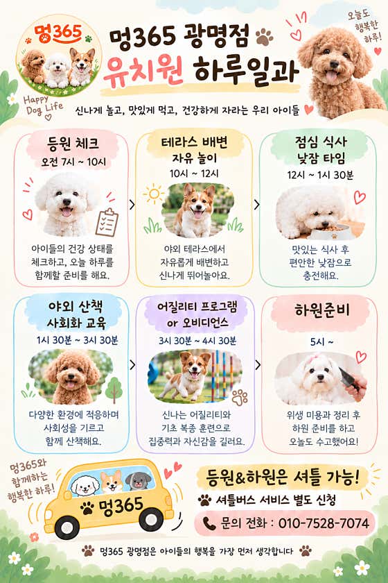 광명애견유치원&호텔&미용 멍365 광명점 · 네이버 지도·플레이스 3
