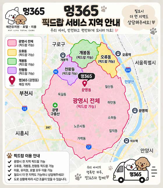 광명애견유치원&호텔&미용 멍365 광명점 · 네이버 지도·플레이스 5