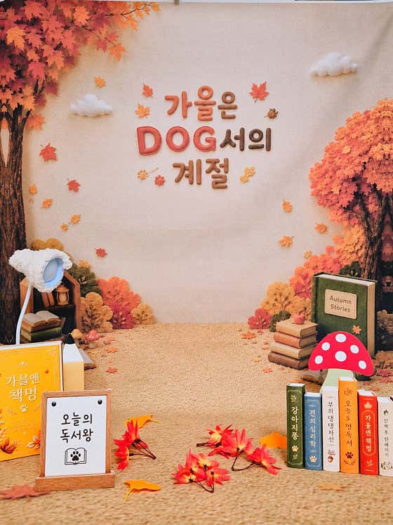 펫살롱 다솜