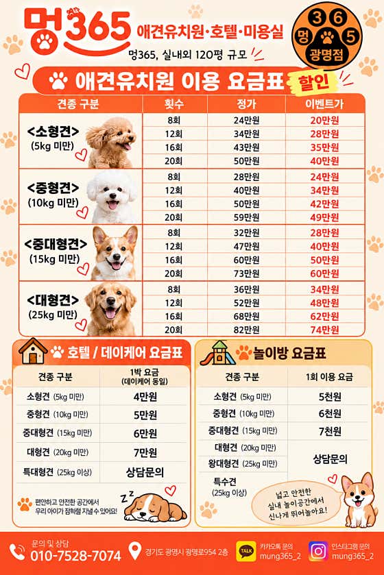 광명애견유치원&호텔&미용 멍365 광명점 · 네이버 지도·플레이스 2