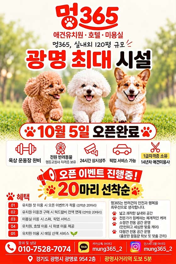 광명애견유치원&호텔&미용 멍365 광명점