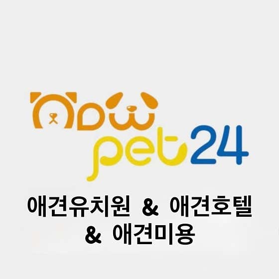 나우펫24