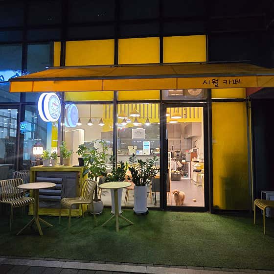 시월카페 · 네이버 지도·플레이스 2