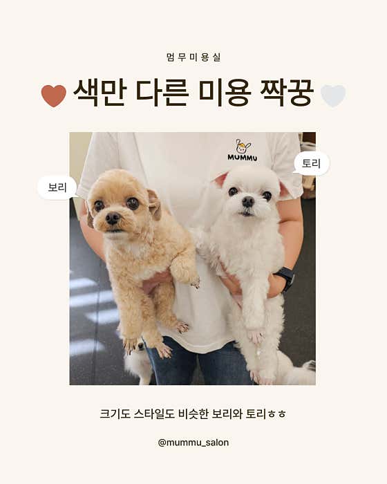 멈무미용실