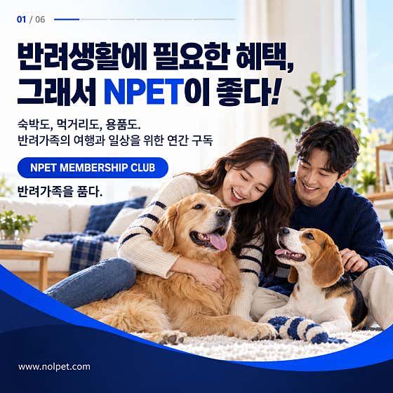 놀펫 · 네이버 지도·플레이스 4