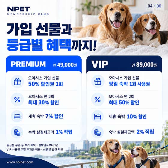 놀펫 · 네이버 지도·플레이스 5
