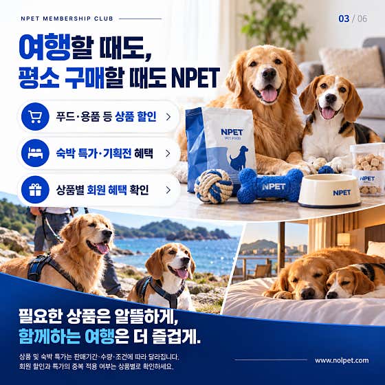 놀펫 · 네이버 지도·플레이스 6