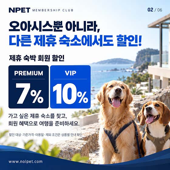 놀펫 · 네이버 지도·플레이스 7