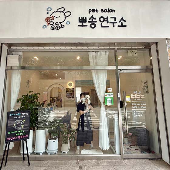 뽀송연구소