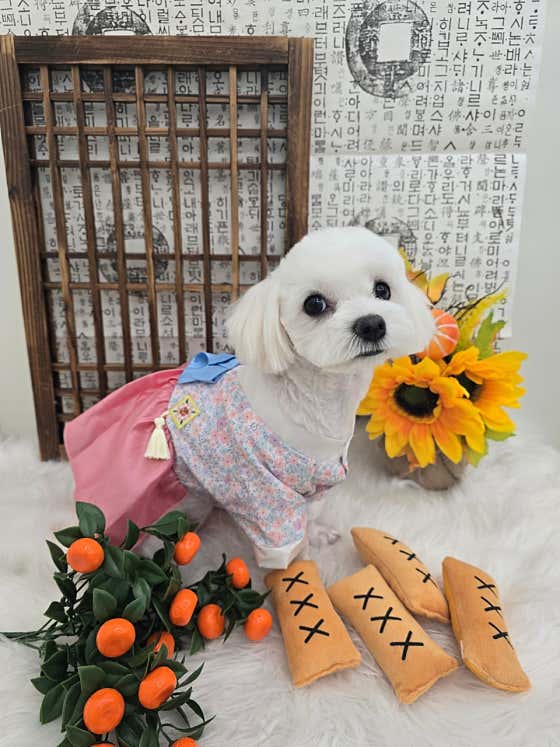 멍몽's · 네이버 지도·플레이스 6