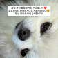 파뜨샌드위치하우스 · 네이버 지도·플레이스 4