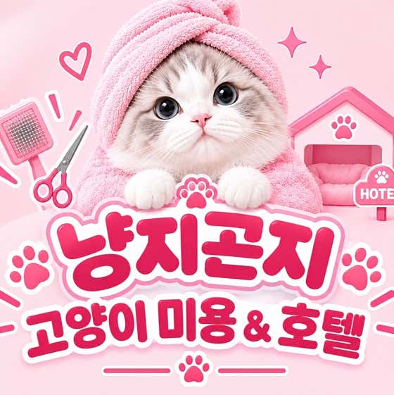 고양이무마취미용 냥지곤지