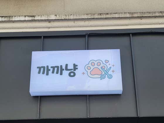 까까냥