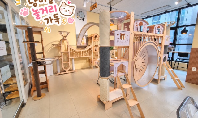 미니몽 고양이카페 대표 사진