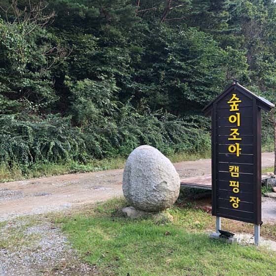 네이버 플레이스 숲이조아 오토캠핑장 : 네이버