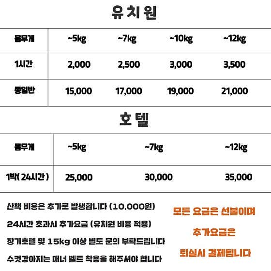 쁘띠펫