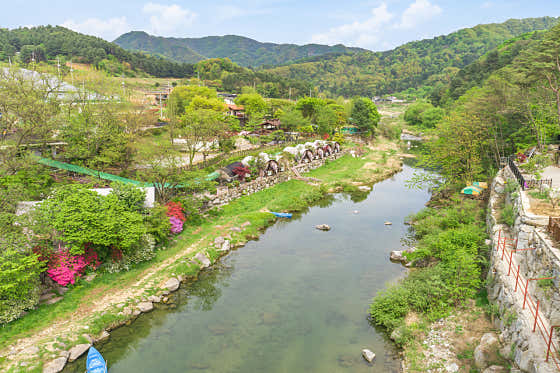 스테이용수