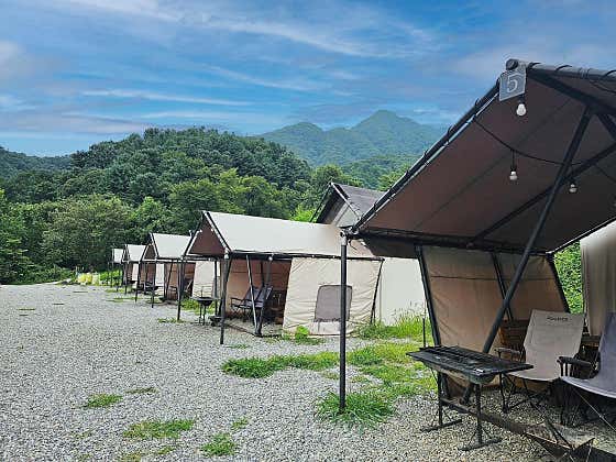 산으로 간 니모