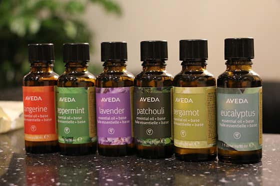 아울스파&에스테틱 (을지로입구역) 매장 사진 8