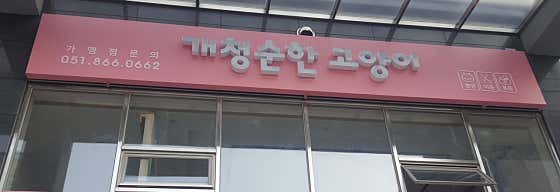 개청순한고양이미용실