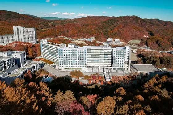 호텔어라운드 평창