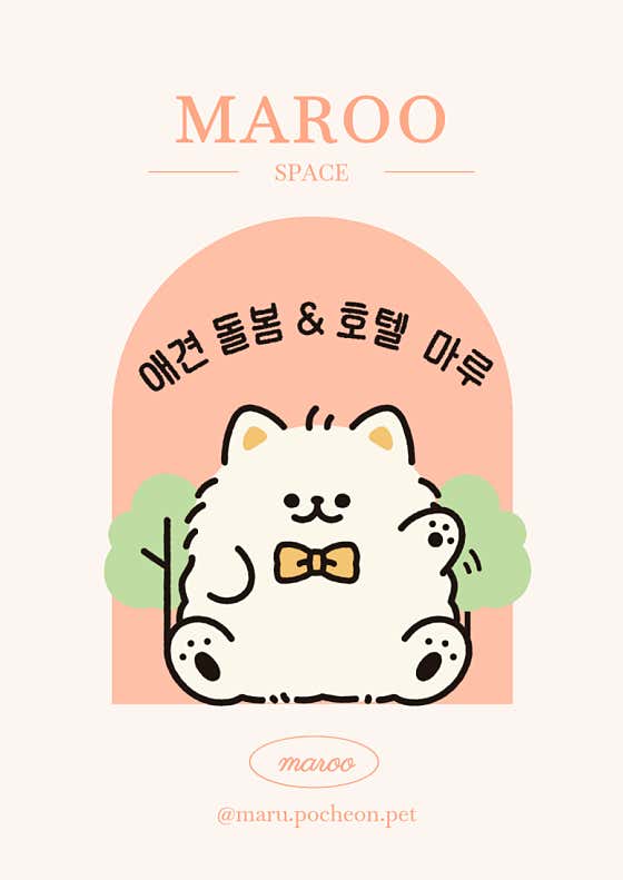 마루펫케어