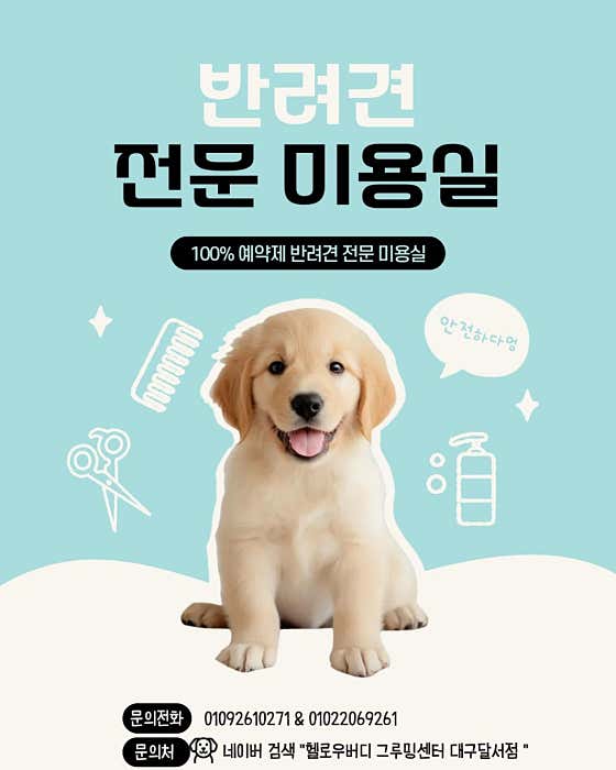 헬로우버디그루밍센터 대구달서점
