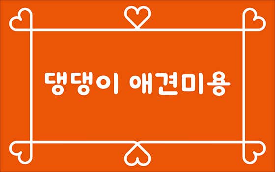 댕댕이애견미용