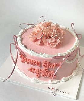 서커스래빗 사진 4