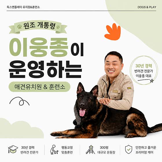 독스 앤 플레이