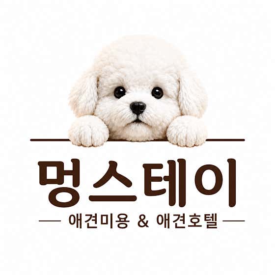 멍스테이 애견미용&애견호텔