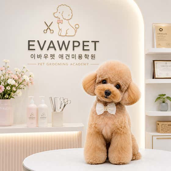 이바우펫애견미용학원 천호아카데미