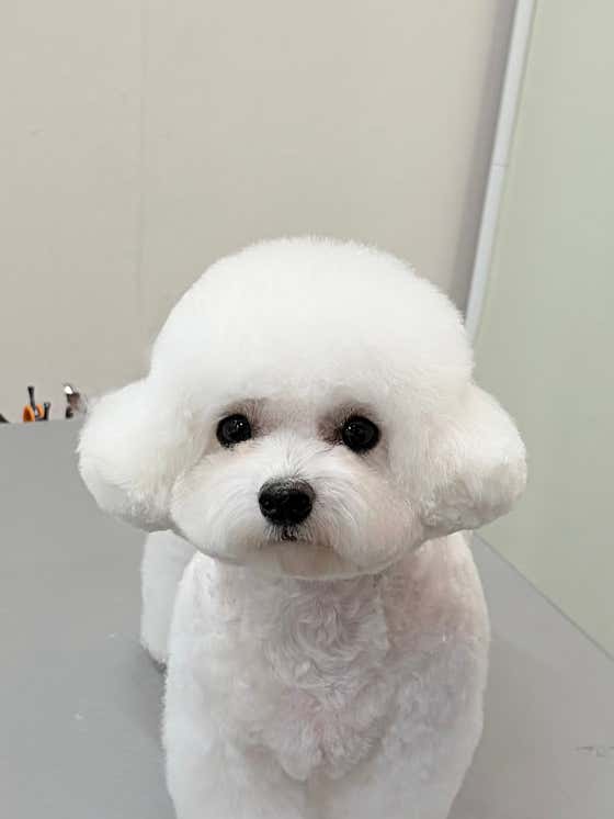마마멍